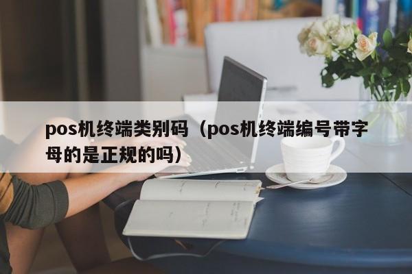 pos机终端类别码（pos机终端编号带字母的是正规的吗）