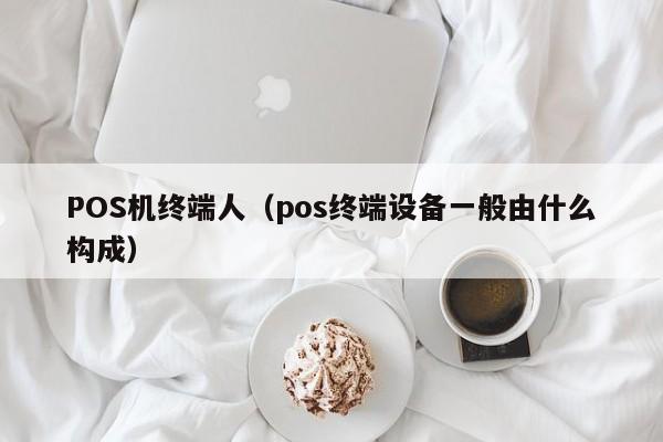 POS机终端人（pos终端设备一般由什么构成）