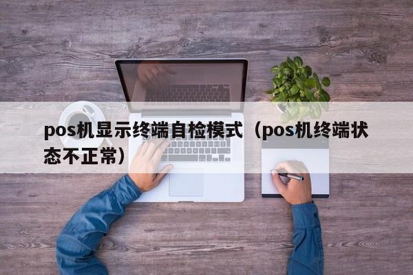 pos机显示终端自检模式（pos机终端状态不正常）