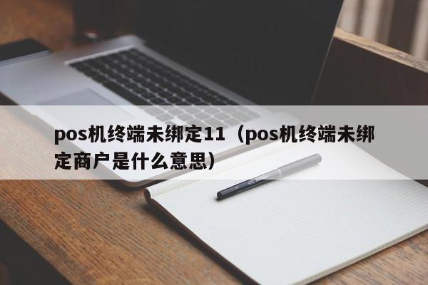 pos机终端未绑定11（pos机终端未绑定商户是什么意思）