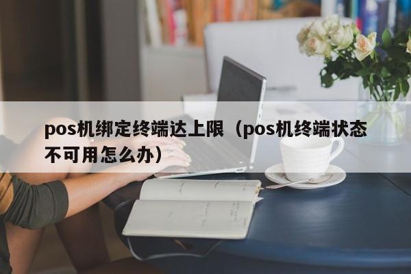 pos机绑定终端达上限（pos机终端状态不可用怎么办）