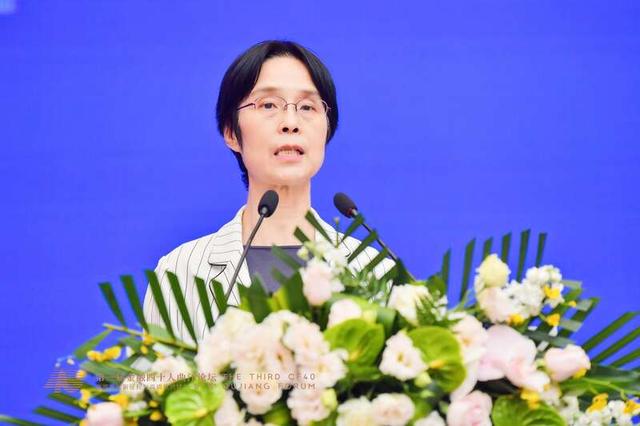 江小涓：“一带一路”合作可以更多采用数字化新模式