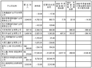 盛屯矿业集团股份有限公司关于上海证券交易所对公司2022年度报告信息披露监管工作函回复的公告