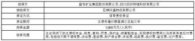 盛屯矿业集团股份有限公司关于担保进展的公告