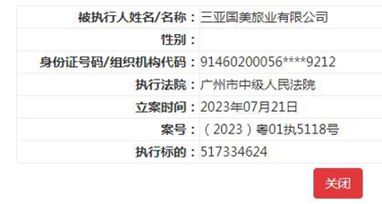 国美控股集团等被列为被执行人 执行标的超5亿元