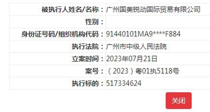 国美控股集团等被列为被执行人 执行标的超5亿元