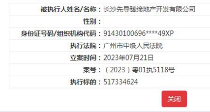 国美控股集团等被列为被执行人 执行标的超5亿元