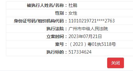 国美控股集团等被列为被执行人 执行标的超5亿元